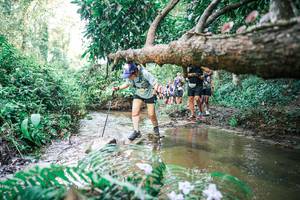 BIB: 
                            <button type="button" onclick="openModal(25478337)" class="btn btn-primary btn-sm float-right btn-popup" data-toggle="modal" data-target=".modal-high-quality">
                        <i class="fas fa-shopping-cart"></i> Add to Cart
                    </button>
                                            <button type="button" onclick="isThisMe(25478337, true)" class="btn btn-success btn-sm float-right btn-popup btn-isme hidden" data-toggle="tooltip" data-placement="bottom" title="นี่คือรูปของคุณใช่ไหม คลิกที่นี่เพื่อเอาเข้าอัลบั้ม">
                        <i class="fas fa-plus"></i> Add to album
                    </button>
                    <button type="button" onclick="isThisMe(25478337, false)" class="btn btn-warning btn-sm float-right btn-popup btn-isnotme hidden">
                        <i class="fas fa-ban"></i> Remove from album
                    </button>